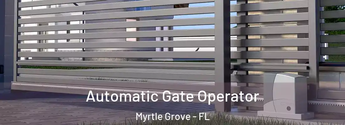  Automatic Gate Operator Myrtle Grove - FL
