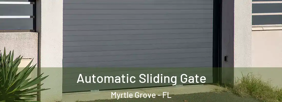  Automatic Sliding Gate Myrtle Grove - FL
