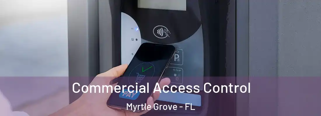  Commercial Access Control Myrtle Grove - FL