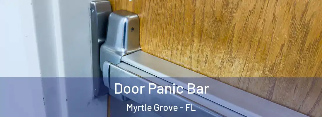 Door Panic Bar Myrtle Grove - FL