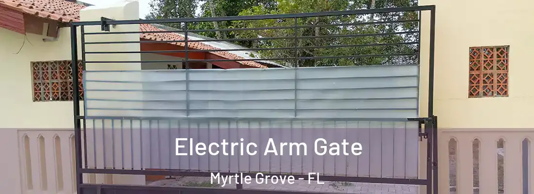  Electric Arm Gate Myrtle Grove - FL