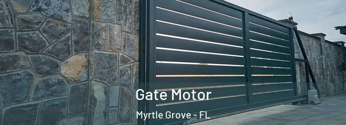 Gate Motor Myrtle Grove - FL
