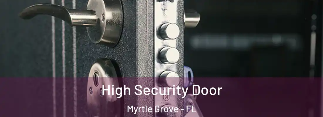  High Security Door Myrtle Grove - FL