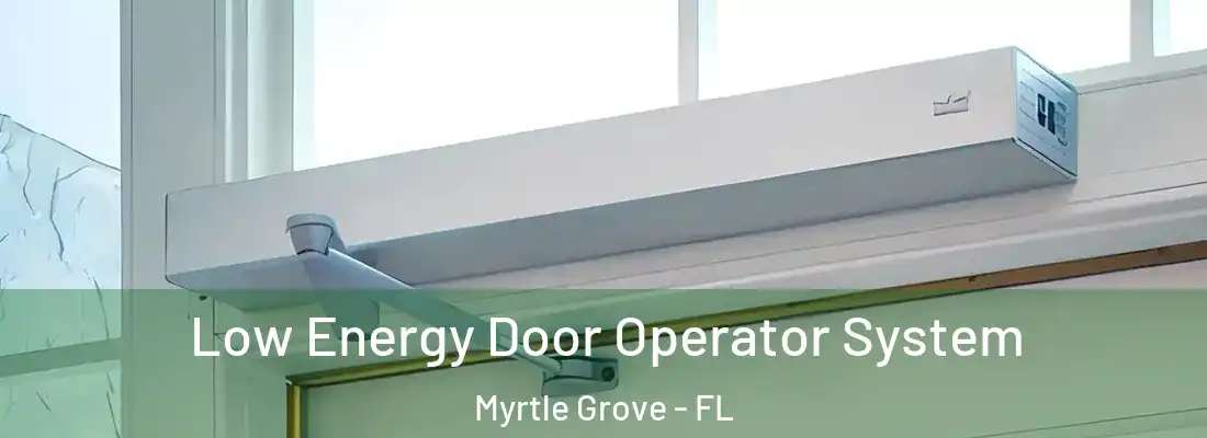  Low Energy Door Operator System Myrtle Grove - FL