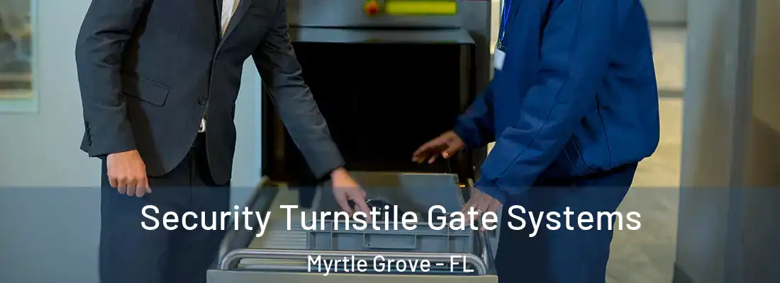  Security Turnstile Gate Systems Myrtle Grove - FL
